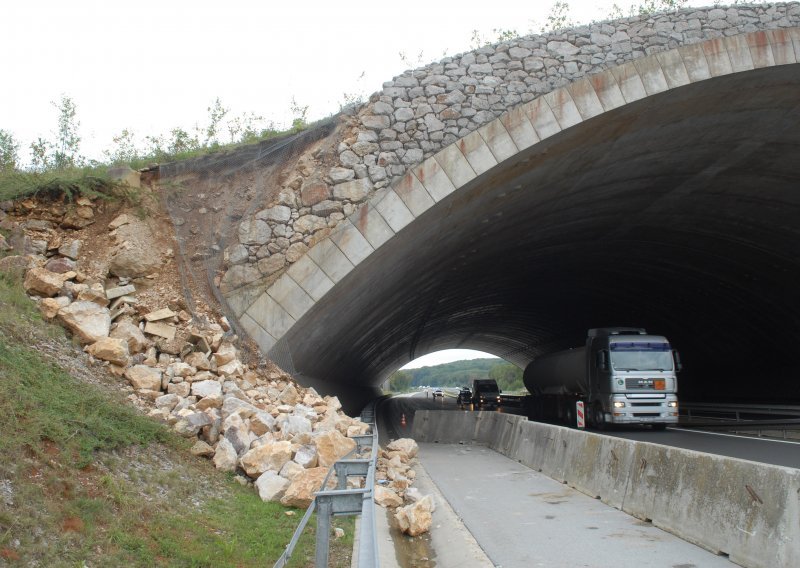 HAK upozorava: Viđene su srne na A1 između čvorova Vrbovsko i Bosiljevo II