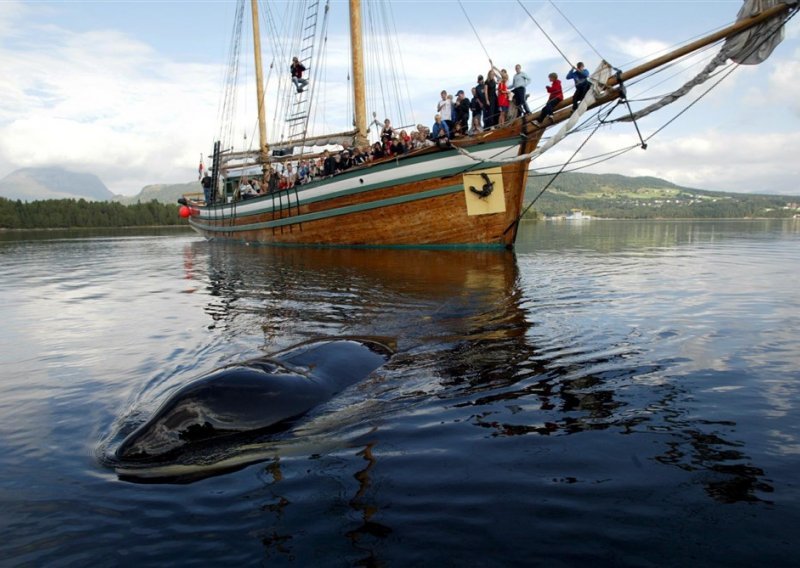 Kitovi ubojice uništili brod u najnovijem napadu kod španjolske obale