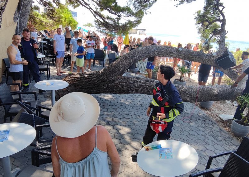 Palo drvo na plaži u Baškoj Vodi: Četvero ozlijeđenih, intervenirali vatrogasci