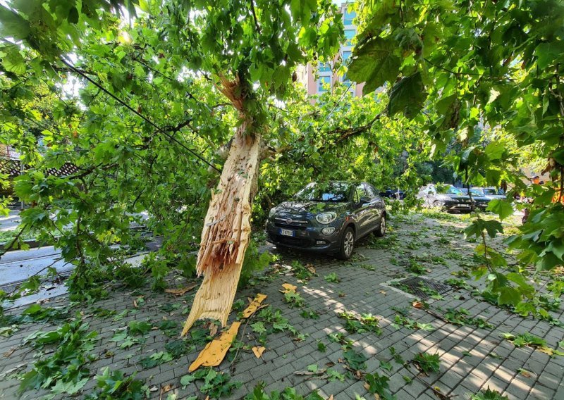 Oluja je u Hrvatskoj uništila tri milijuna kubika šuma