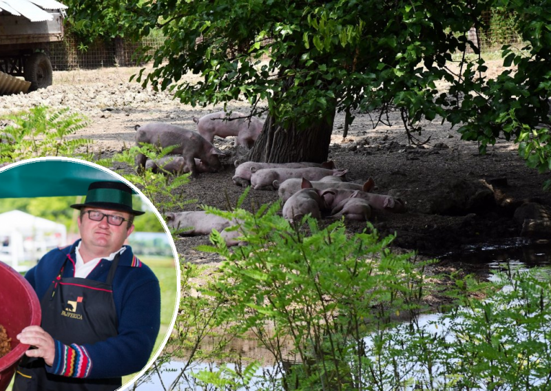 Slavonski svinjogojci na koljenima zbog kuge: Nemam ni papka više u dvorištu