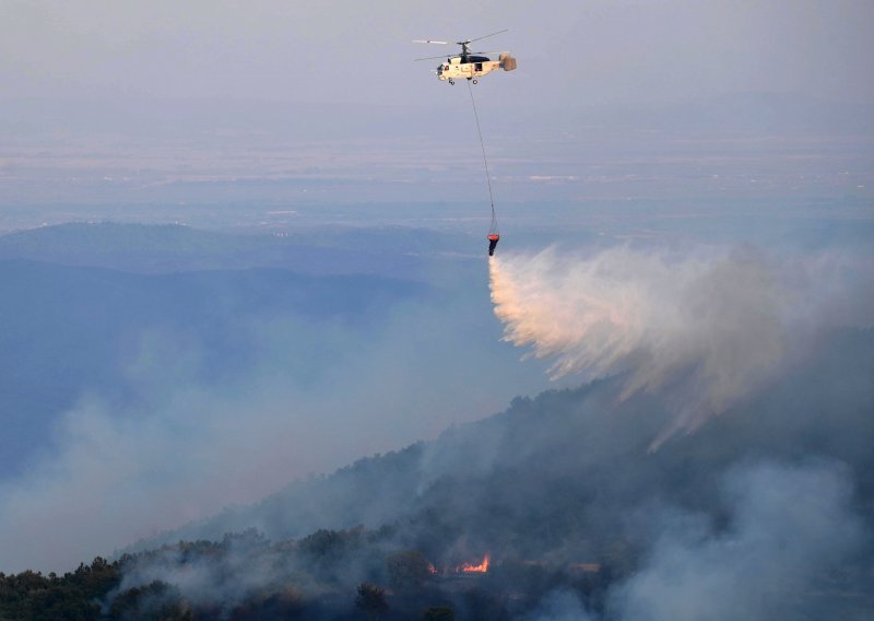 Požar koji hara nacionalnom parkom Dadia u Grčkoj gotovo ugašen