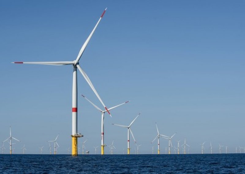 Zelena dilema EU; instalacija novih vjetroelektrana na moru mogla bi biti štetna