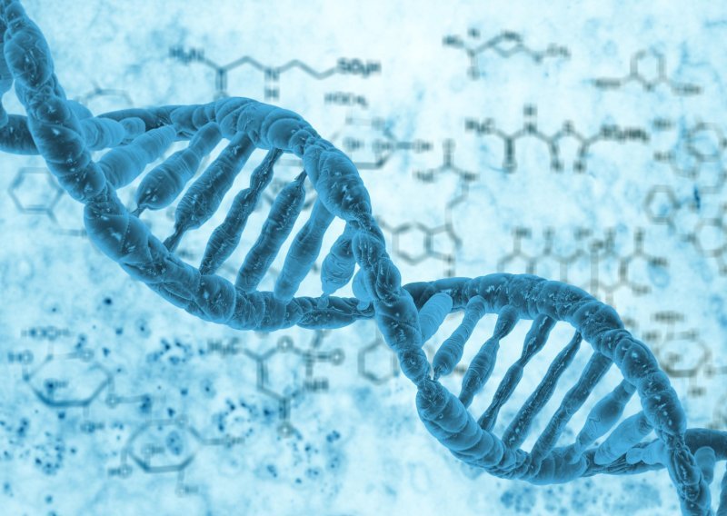 Nakon desetljeća istraživanja sada je jasno - DNK računala su stvarno izvediva!