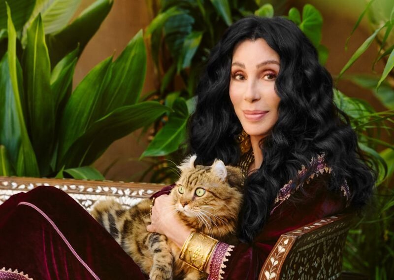 Starenje prezire, a jedino što Cher nikada nije priznala to je da je izvadila rebra