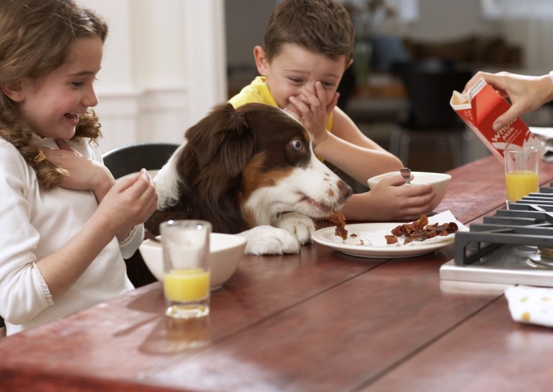 Ostaci sa stola ugrožavaju zdravlje vašeg psa!