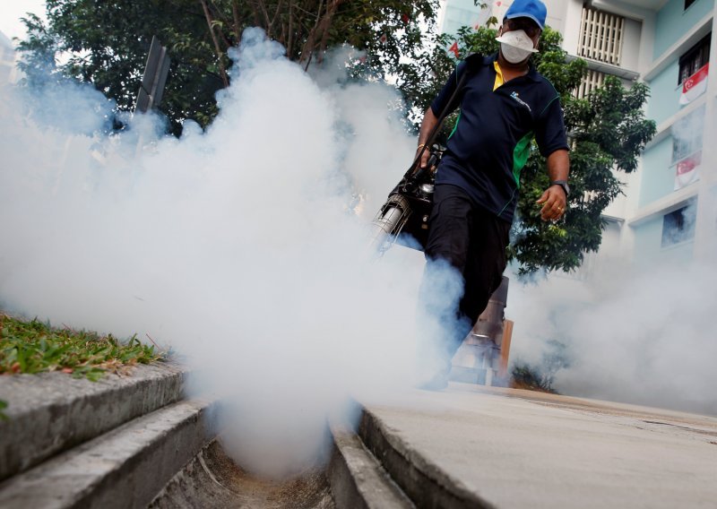 U Singapuru 115 ljudi zaraženo virusom zika