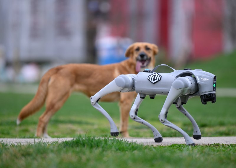 Velikom Goricom prošetao impresivan robotski pas, namjena mu je plemenita