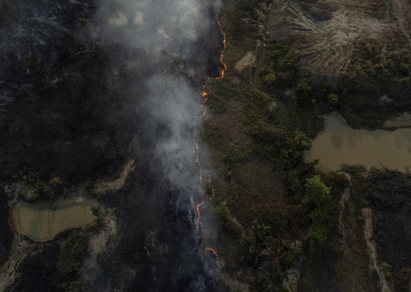 Pomaci su vidljivi u Brazilu, no šume se i dalje neumoljivo uništavaju