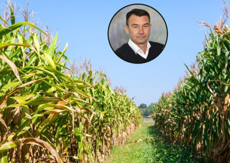 Monsanto ne planira rentirati ni kupovati zemljište u Hrvatskoj