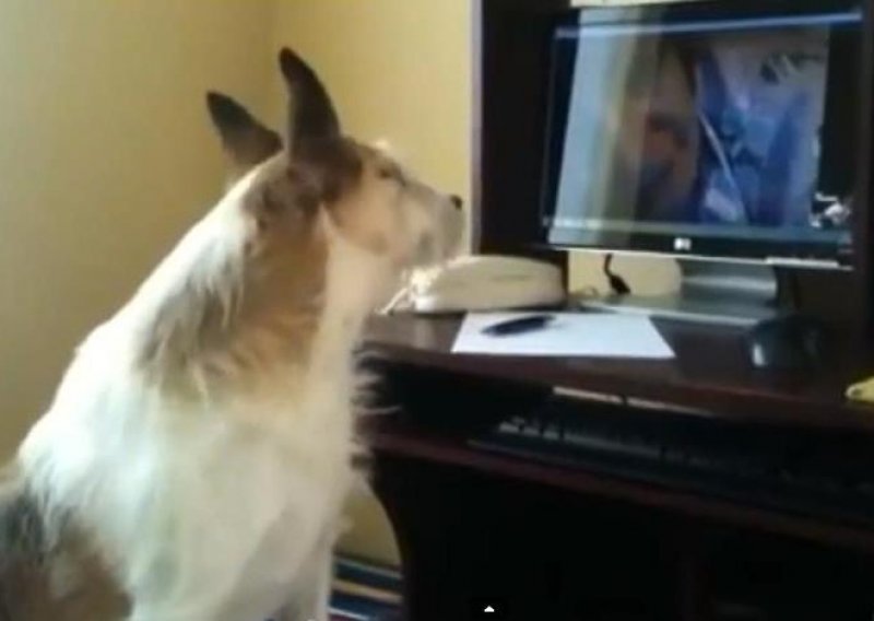 Ovi psi obožavaju brbljati preko Skypea