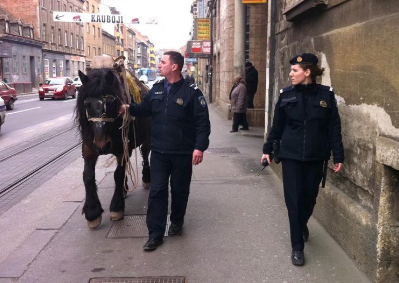 Za trajanja prosvjeda policija Ilicom lovila konja