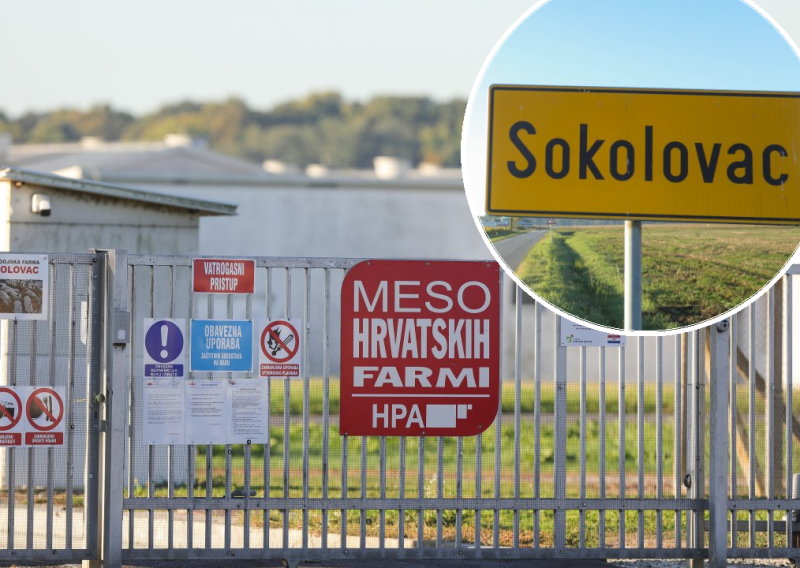 Zbog virusa svinjske kuge na farmi Sokolovac uvedeni dodatni bio-sigurnosni protokoli