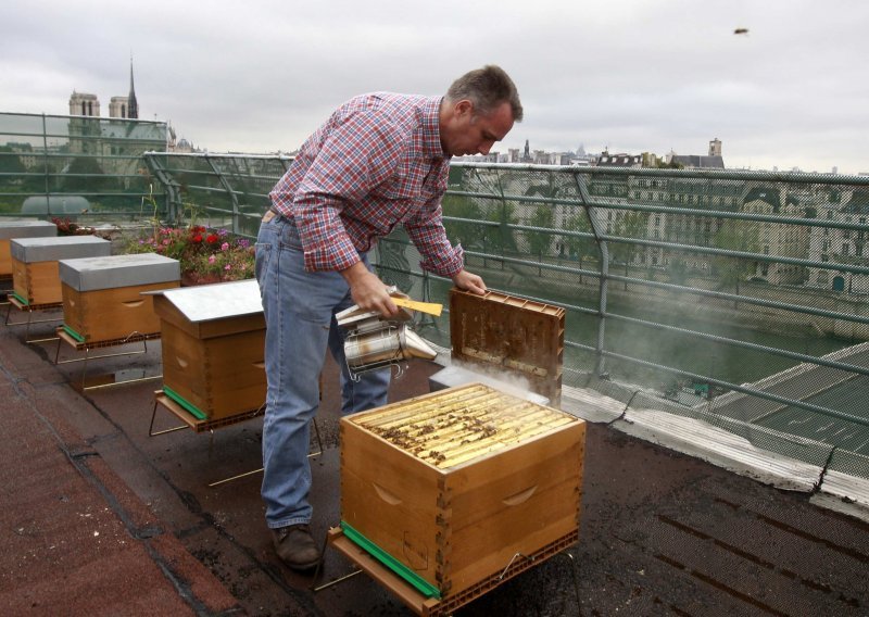 Otrovima koji se koriste i kod nas pobijene njemačke pčele