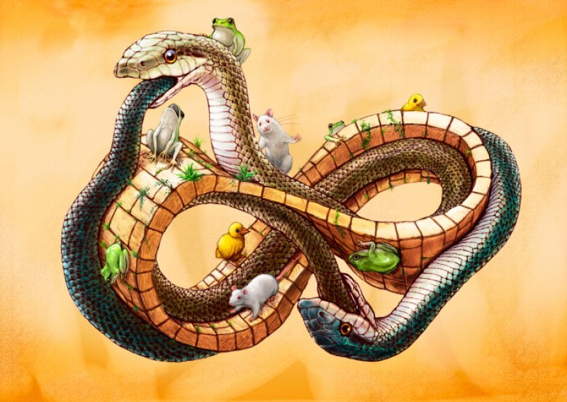 Što predstavlja godina zmije?