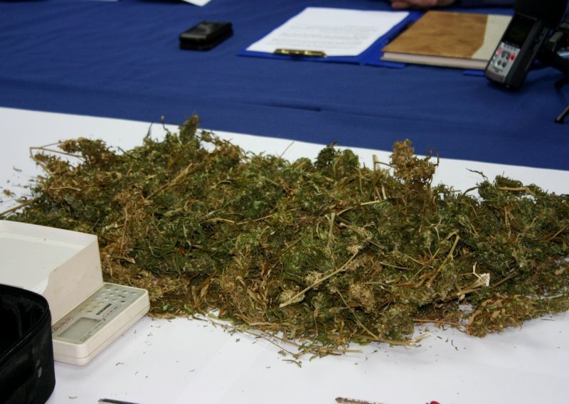 Hrvatska policija zaplijenila 800 kilograma marihuane