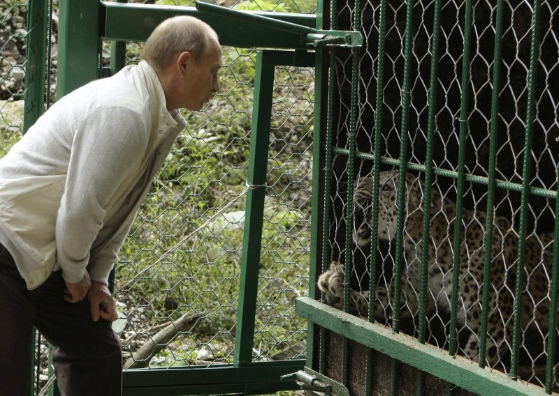 Putin spašava leoparde