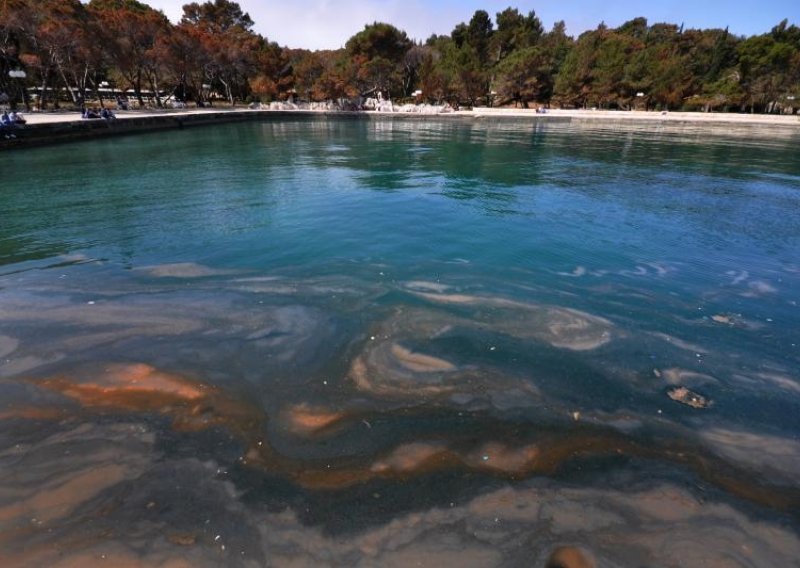 Masovna pojava toksičnih algi između Pule i Poreča