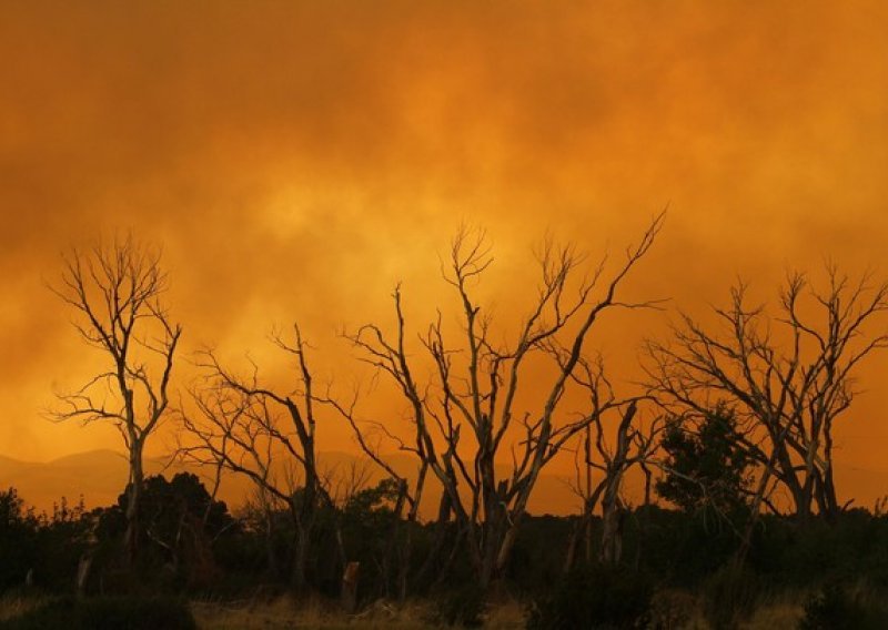 Požar prijeti nacionalnom parku na Kanarima
