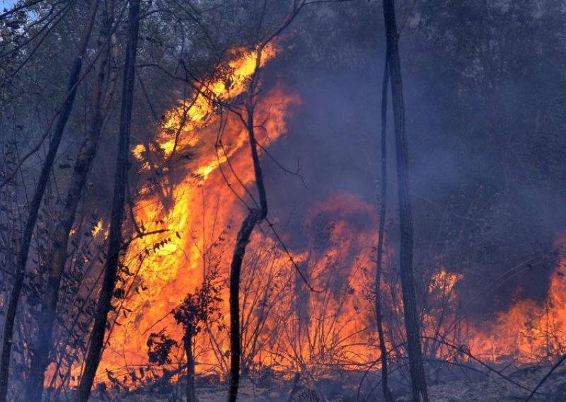 Lokaliziran veliki požar kraj Baderne na Poreštini