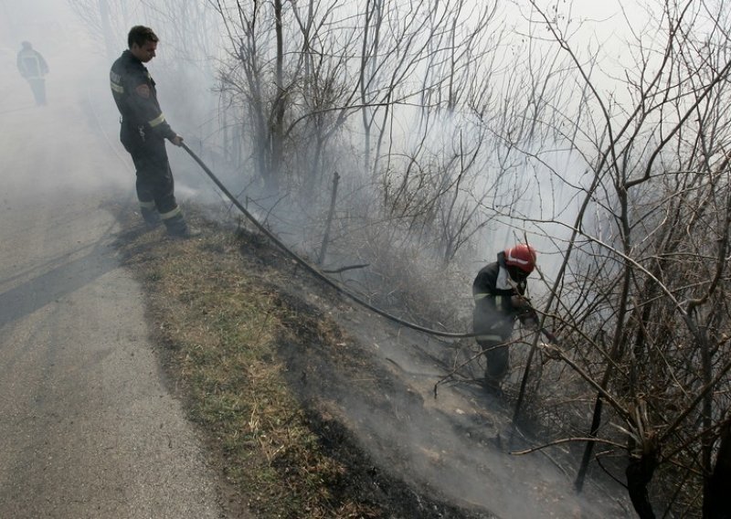 Palio korov i zapalio više od 50 hektara zemljišta