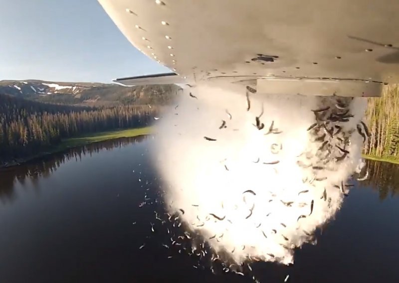 Ovako Amerikanci bombardiraju jezera živim ribama