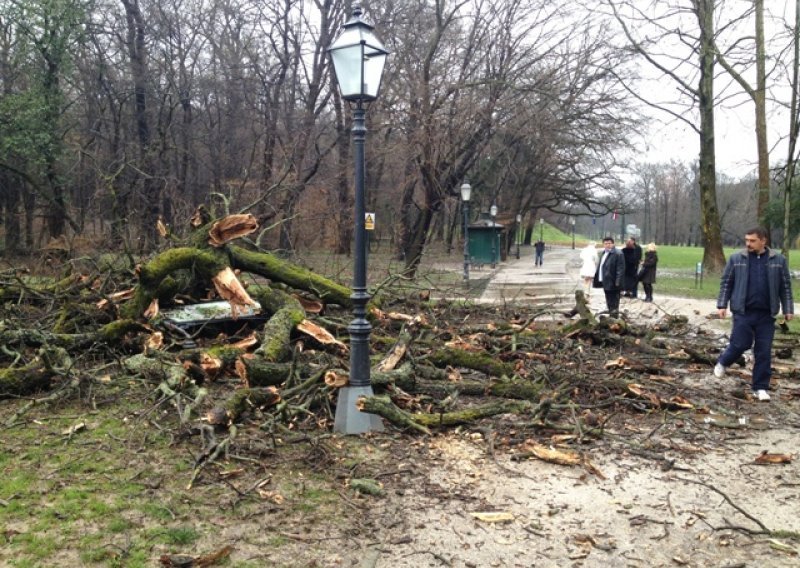 Na samom ulazu u Maksimir srušilo se stablo staro 200 godina