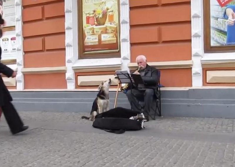 Pas se pridružio uličnom sviraču i 'zapjevao'