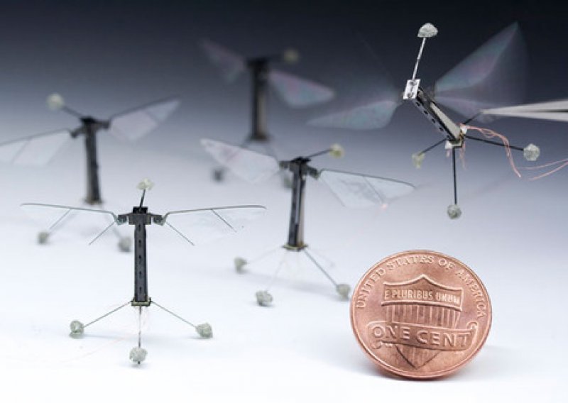 Pogledajte let robota veličine muhe!
