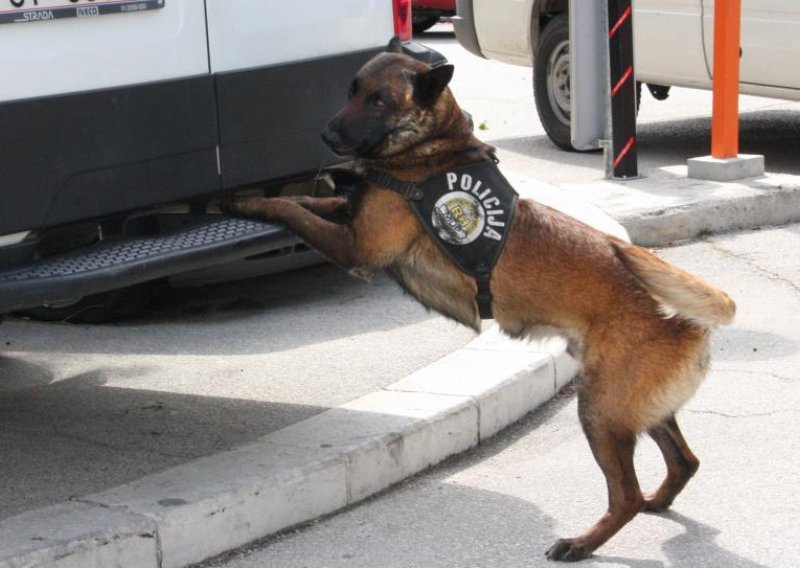 Policijski pas otkrio drogu u slovenskom BMW-u