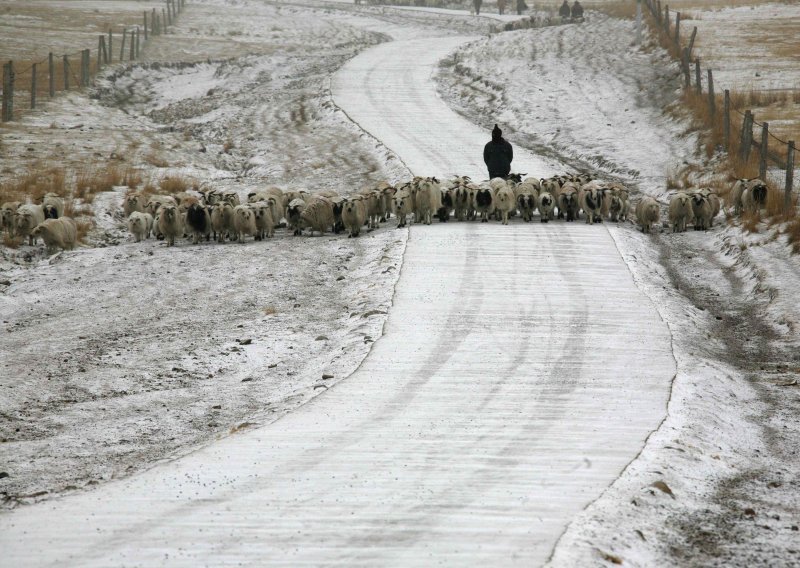 Sačmaricom upucao 52-godišnjeg pastira u polju