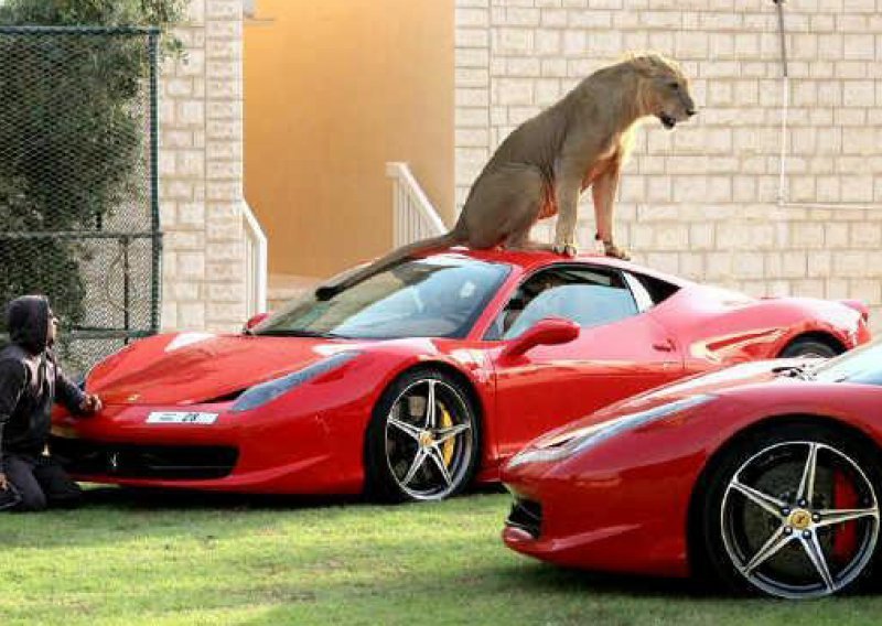 Lav na krovu Ferrarija je najbolji protuprovalni sustav