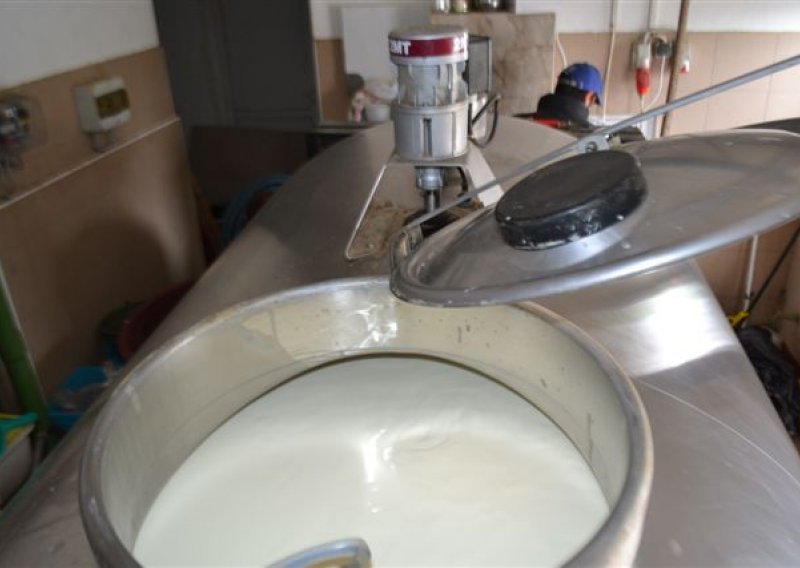 Zaustavljen nagli pad proizvodnje mlijeka