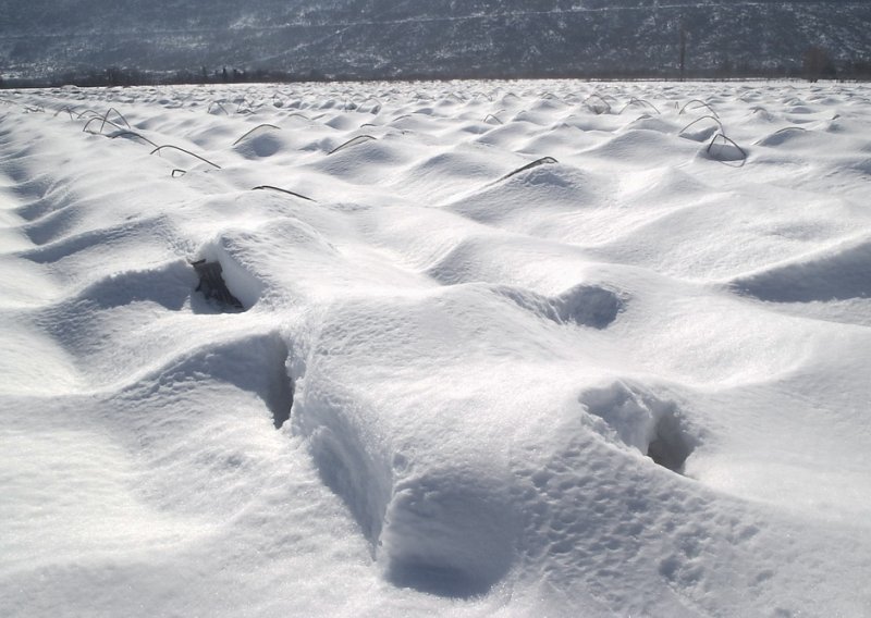 Tri milijuna kuna štete od snijega i leda u Vrgorcu