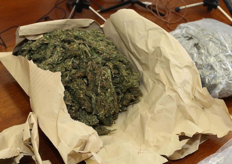 Dvojac 'pao' s pola kilograma marihuane u Audiju