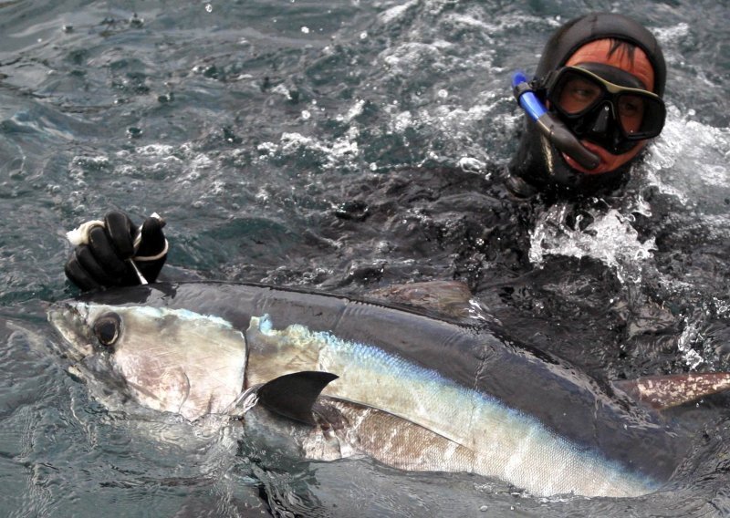 Svjetski uspjeh: Hrvati uzgojili 'tunu iz epruvete'