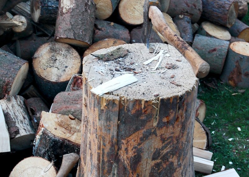 U Srbiji će uskoro čipirati drva