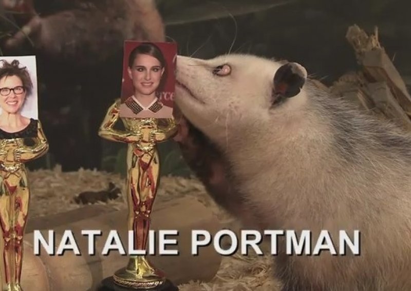 Oposumka Heidi odabrala Natalie Portman kao dobitnicu Oscara