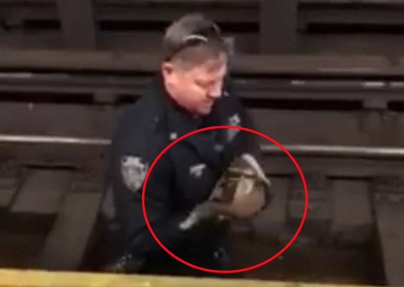 Zalutala patka digla na noge policiju New Yorka
