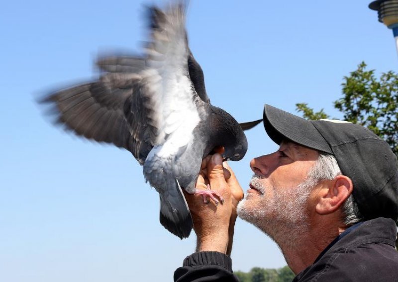 Osječaninu golubovi jedu iz ruku i s usana