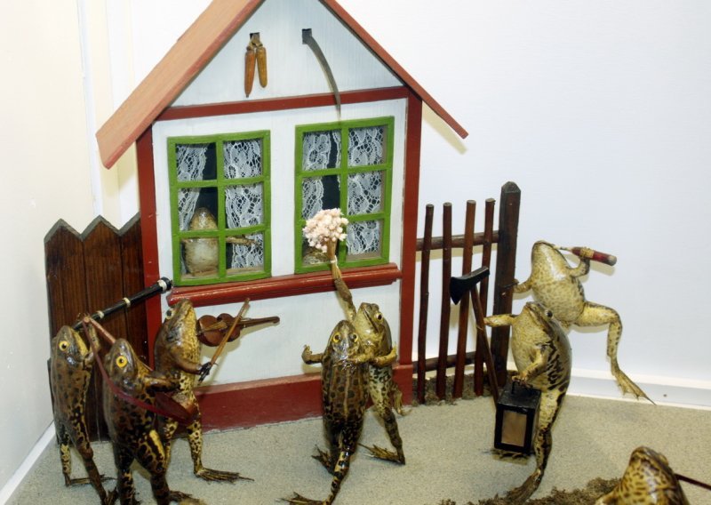 Biste li išli pogledati izložbu prepariranih žaba?