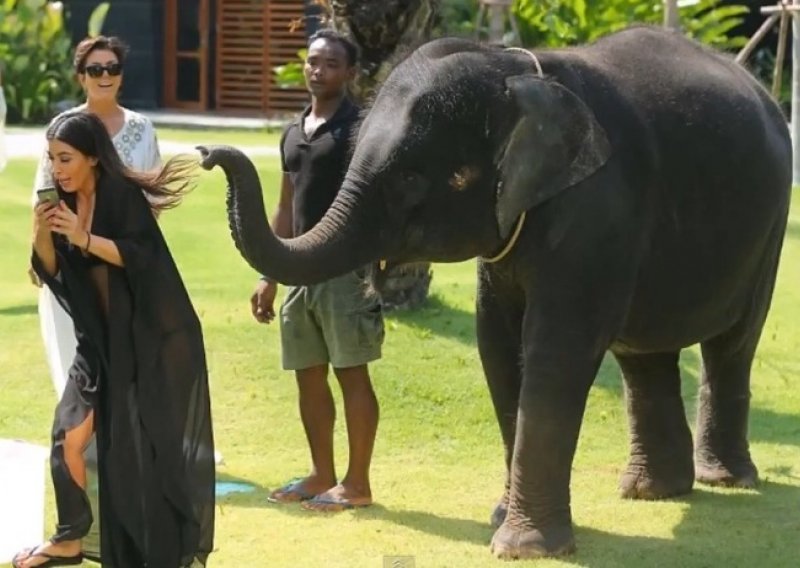 Kim Kardashian premrla od straha zbog slona