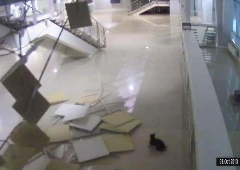 Mačka propala kroz krov arene u Sočiju