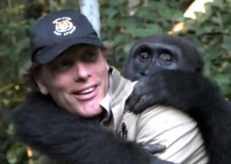 Dirljivi susret čovjeka i gorile nakon pet godina