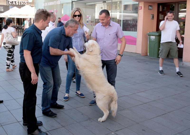 Bandić je smislio kako se riješiti psećih drekića u Zagrebu