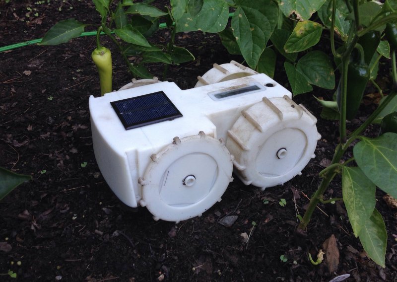 Robotić Tertill će se brinuti o korovu u vašem vrtu