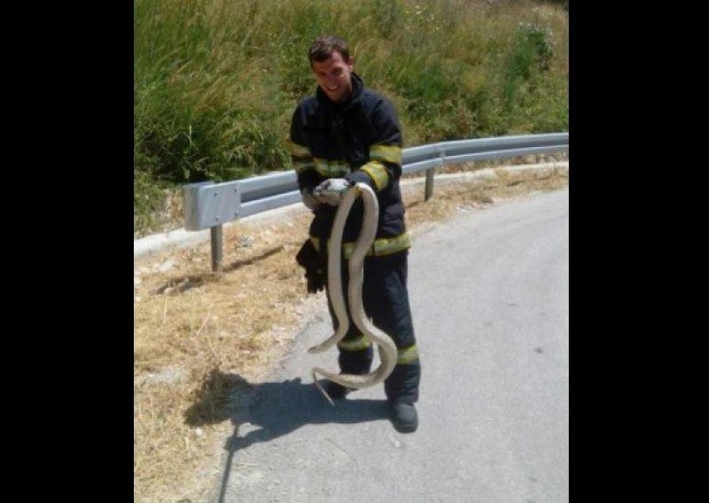 Vatrogasci iz kuće u Mokošici izvukli ogromnu zmiju