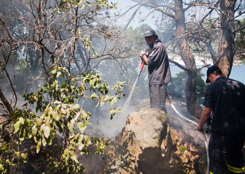 Mladi turist se otrovao pomažući u gašenju požara