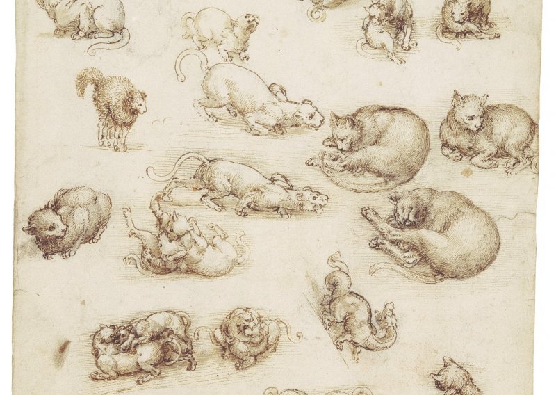 Britanska kraljica odlučila je pokazati koje crteže slavnog da Vincija krije u svojoj kolekciji