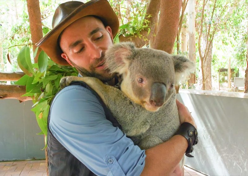 Ova koala je toliko slatka da bismo je i mi izgrlili